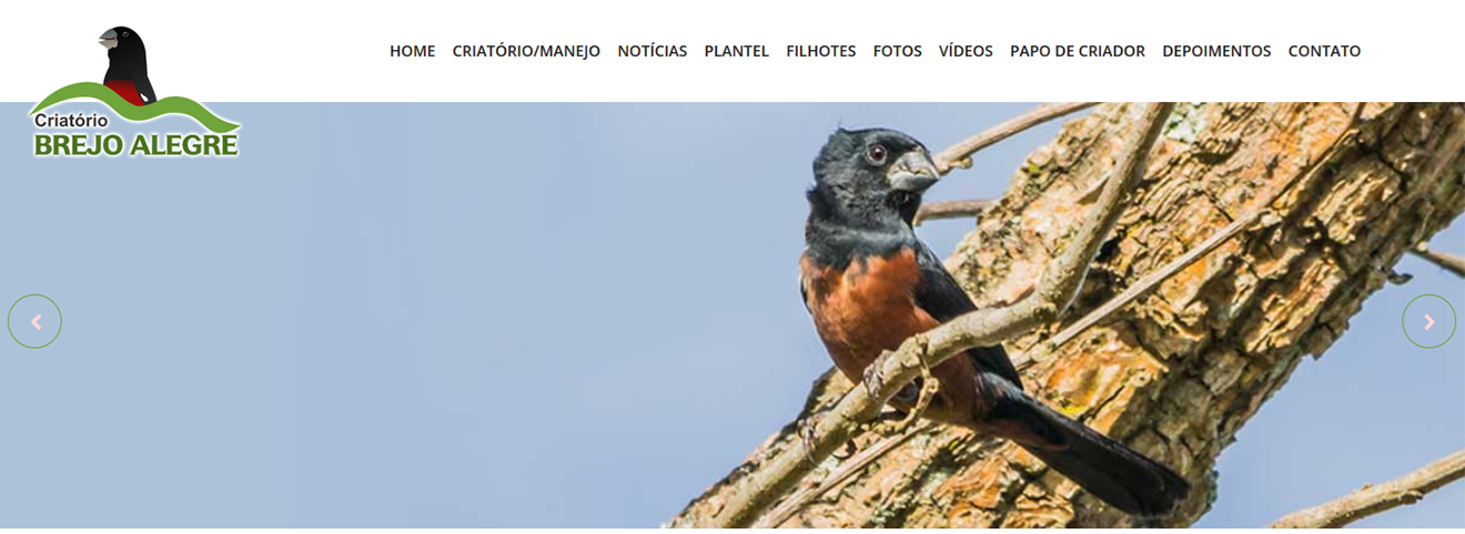 Novidades no ar!